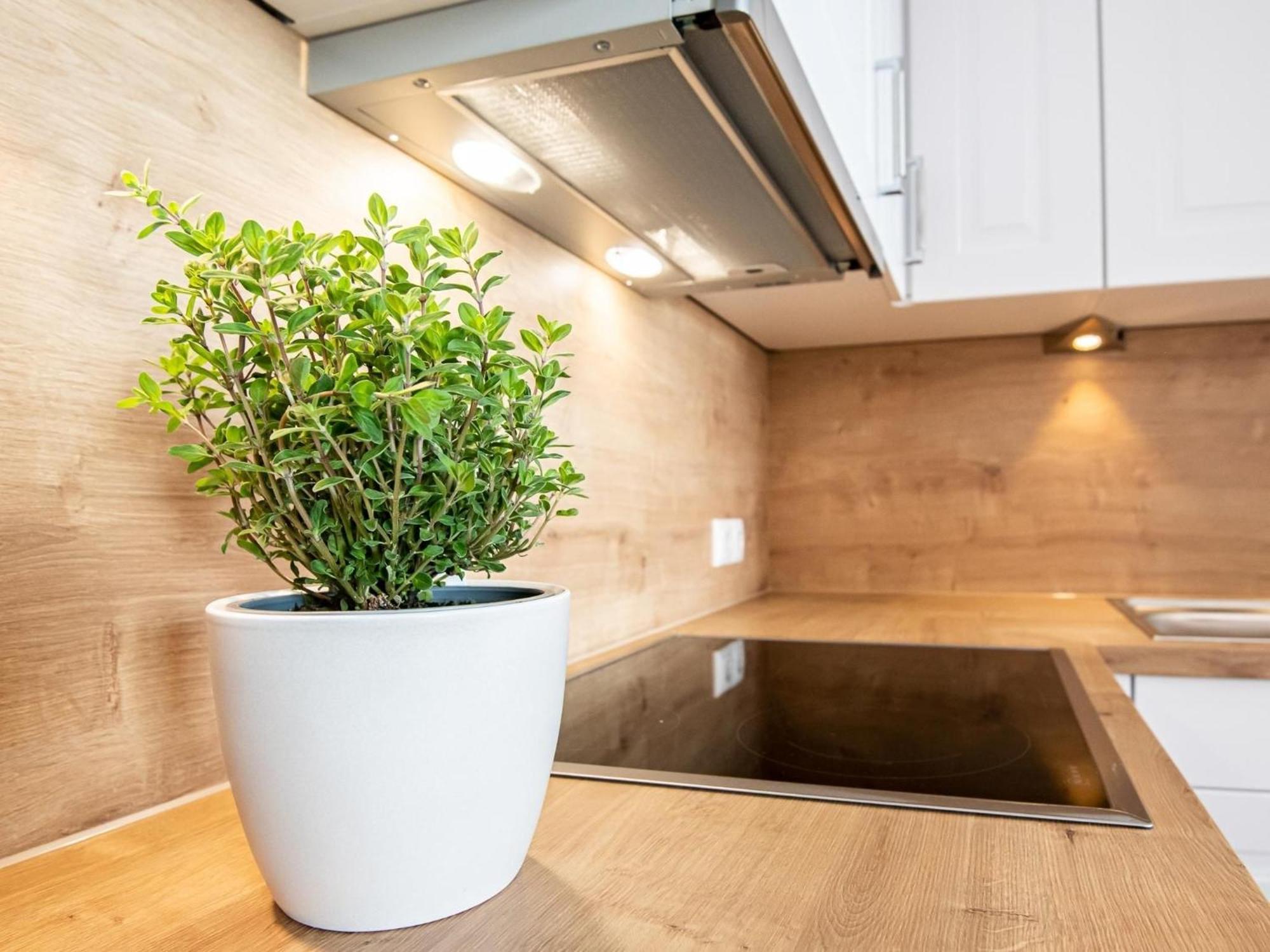 Berolina 804 Penthouse Mit Meerblick Dahme  Buitenkant foto
